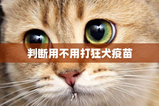 判斷用不用打狂犬疫苗