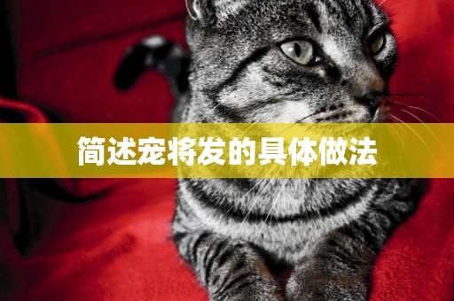 簡述寵將發的具體做法