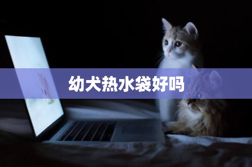 幼犬熱水袋好嗎