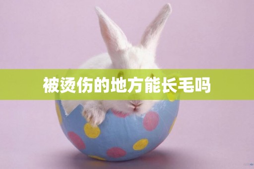 被燙傷的地方能長毛嗎