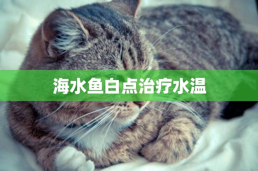 海水魚白點治療水溫