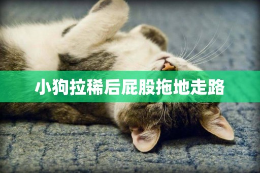 小狗拉稀后屁股拖地走路