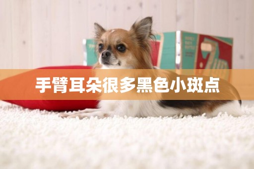 手臂耳朵很多黑色小斑點