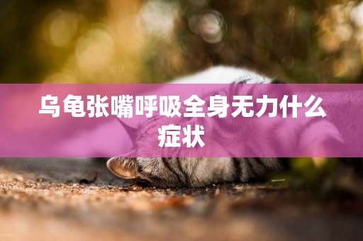 烏龜張嘴呼吸全身無力什么癥狀