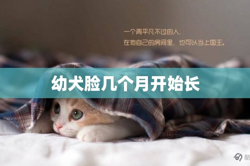 幼犬臉幾個月開始長