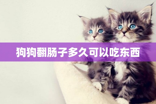 狗狗翻腸子多久可以吃東西