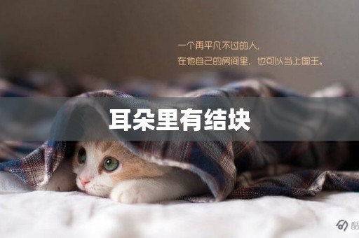 耳朵里有結塊