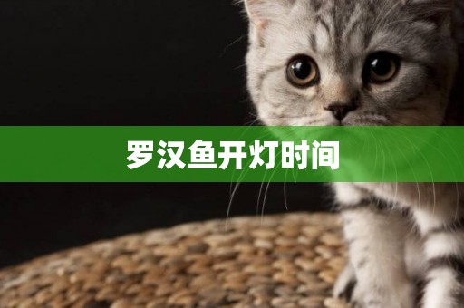 羅漢魚開燈時間