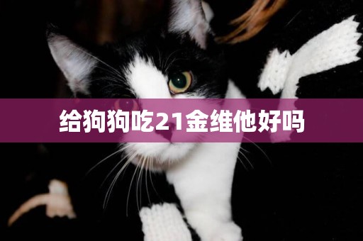 給狗狗吃21金維他好嗎