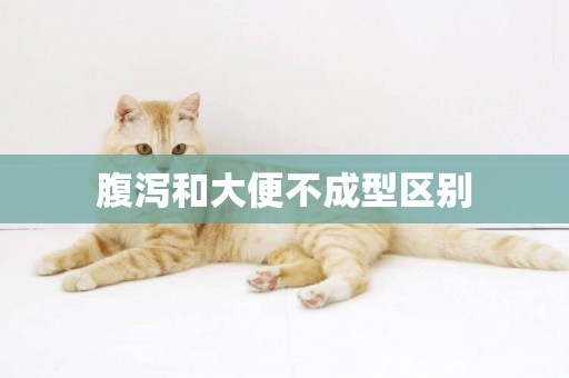 腹瀉和大便不成型區別