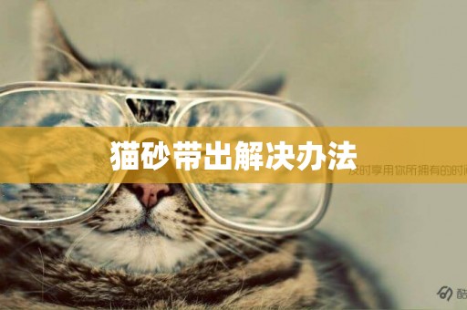 貓砂帶出解決辦法