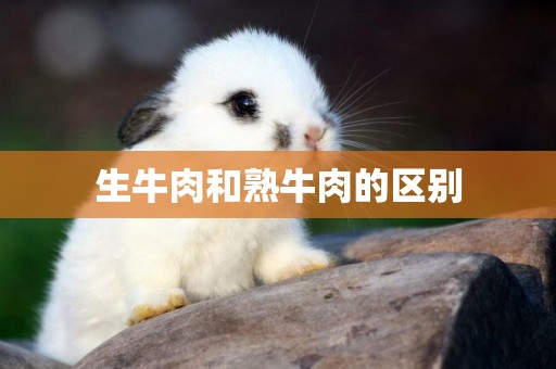 生牛肉和熟牛肉的區別