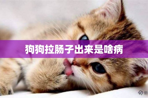狗狗拉腸子出來是啥病