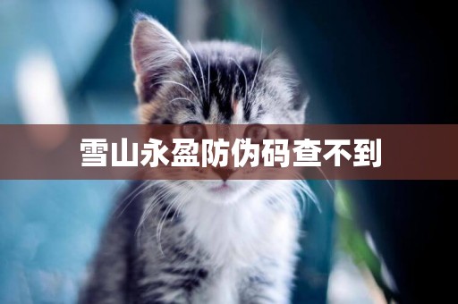 雪山永盈防偽碼查不到