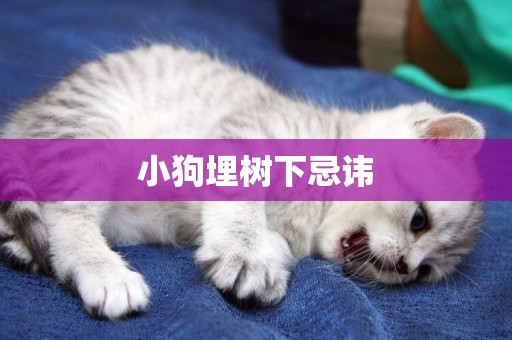 小狗埋樹下忌諱