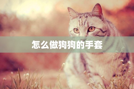怎么做狗狗的手套