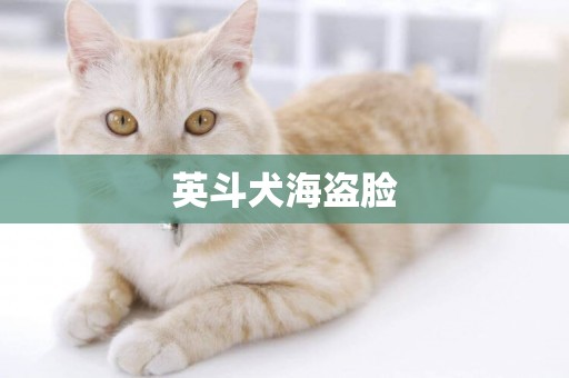 英斗犬海盜臉