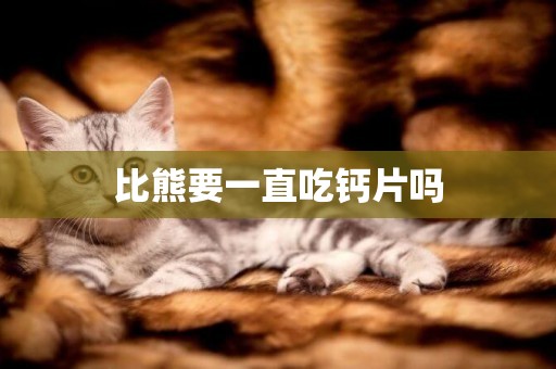 比熊要一直吃鈣片嗎