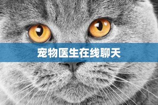 寵物醫生在線聊天