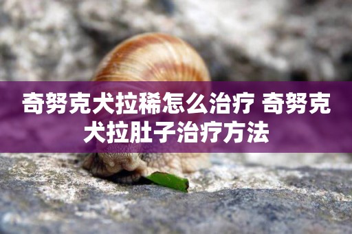 奇努克犬拉稀怎么治療 奇努克犬拉肚子治療方法