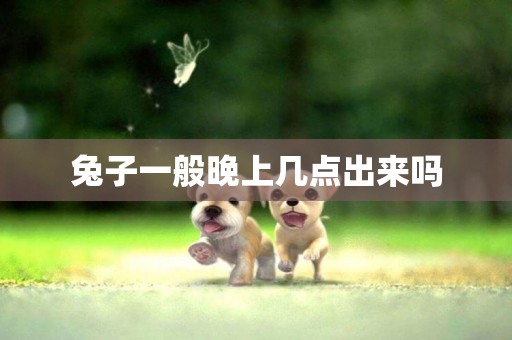 兔子一般晚上幾點出來嗎