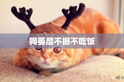 狗萎靡不振不吃飯