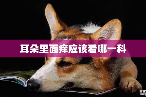 耳朵里面癢應該看哪一科