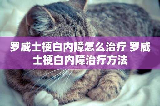 羅威士梗白內障怎么治療 羅威士梗白內障治療方法