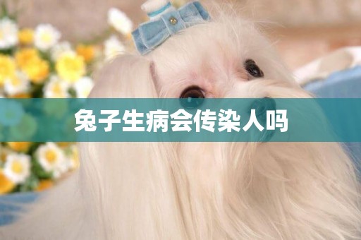 兔子生病會傳染人嗎