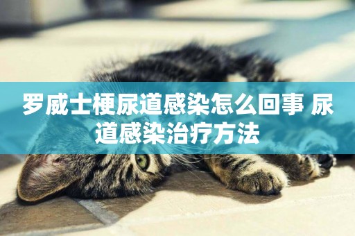 羅威士梗尿道感染怎么回事 尿道感染治療方法