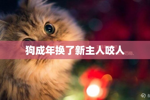 狗成年換了新主人咬人