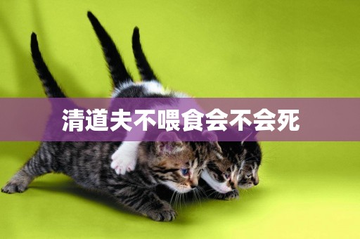 清道夫不喂食會不會死