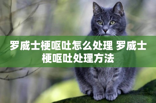 羅威士梗嘔吐怎么處理 羅威士梗嘔吐處理方法