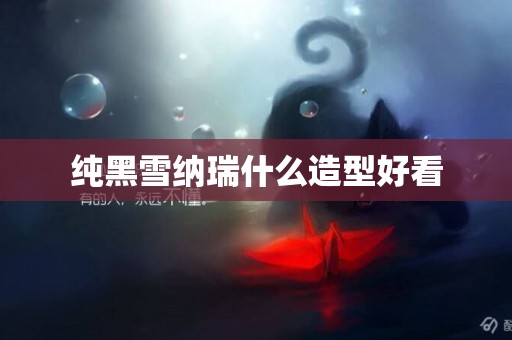 純黑雪納瑞什么造型好看