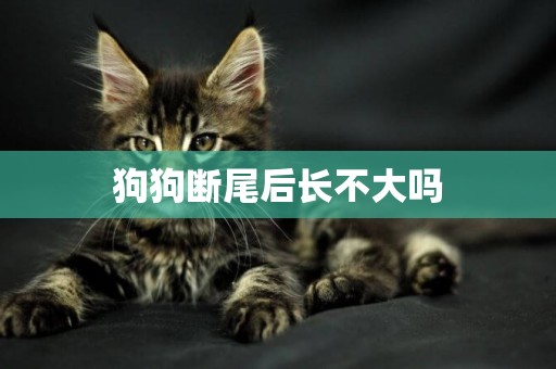 狗狗斷尾后長不大嗎