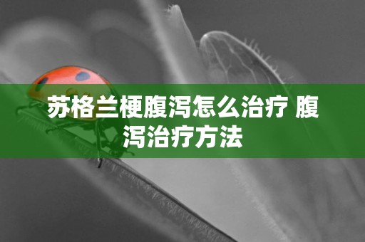 蘇格蘭梗腹瀉怎么治療 腹瀉治療方法
