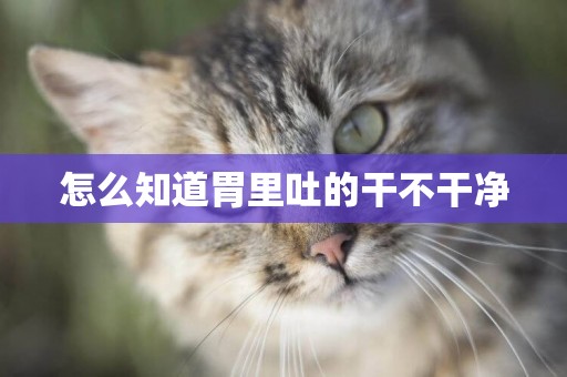怎么知道胃里吐的干不干凈