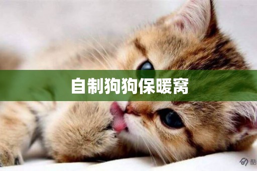 自制狗狗保暖窩
