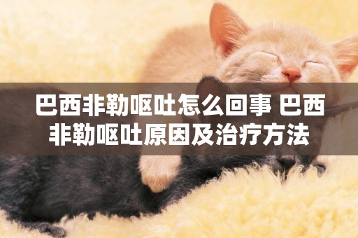 巴西非勒嘔吐怎么回事 巴西非勒嘔吐原因及治療方法