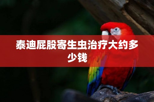 泰迪屁股寄生蟲治療大約多少錢