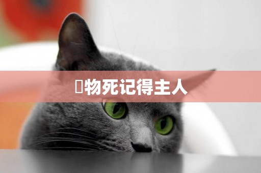寵物死記得主人