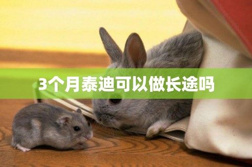 3個月泰迪可以做長途嗎