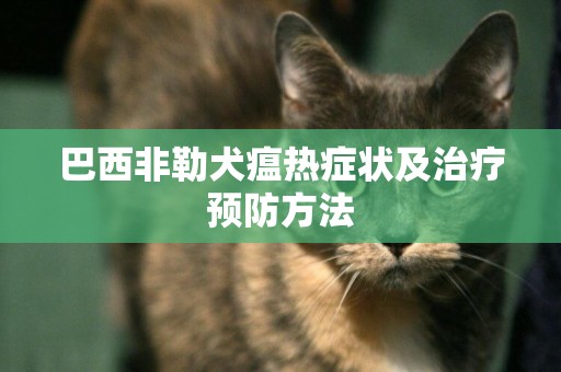巴西非勒犬瘟熱癥狀及治療預防方法