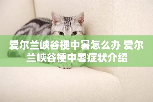 愛爾蘭峽谷梗中暑怎么辦 愛爾蘭峽谷梗中暑癥狀介紹