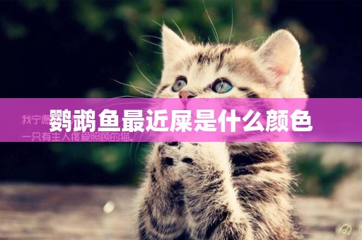 鸚鵡魚最近屎是什么顏色