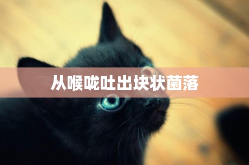 從喉嚨吐出塊狀菌落