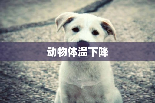 動物體溫下降