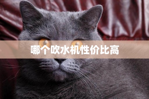 哪個吹水機性價比高