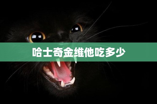 哈士奇金維他吃多少