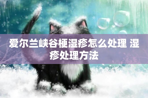 愛爾蘭峽谷梗濕疹怎么處理 濕疹處理方法